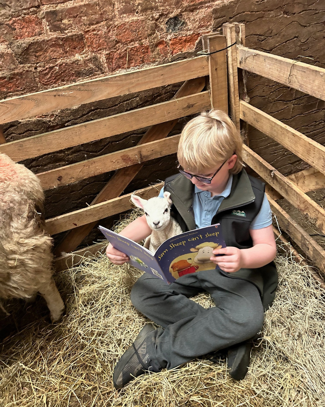 Most unique reading spot winner